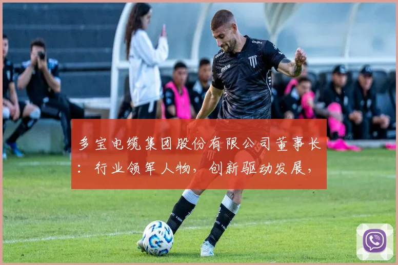 多宝电缆集团股份有限公司董事长：行业领军人物，创新驱动发展，引领产业升级之路