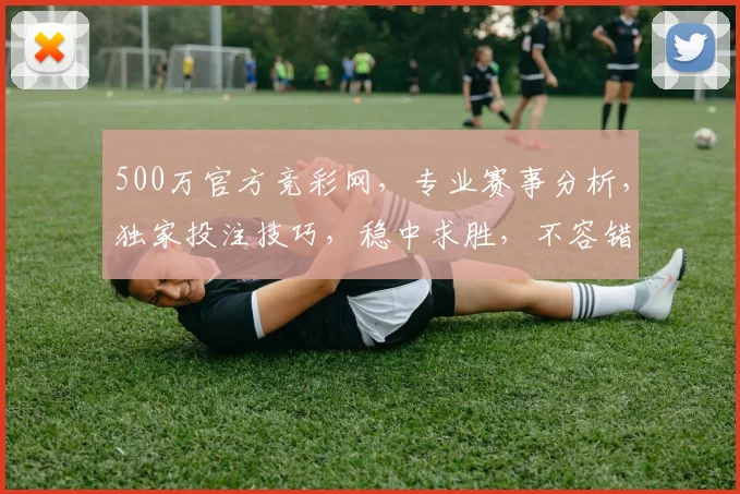500万官方竞彩网，专业赛事分析，独家投注技巧，稳中求胜，不容错过